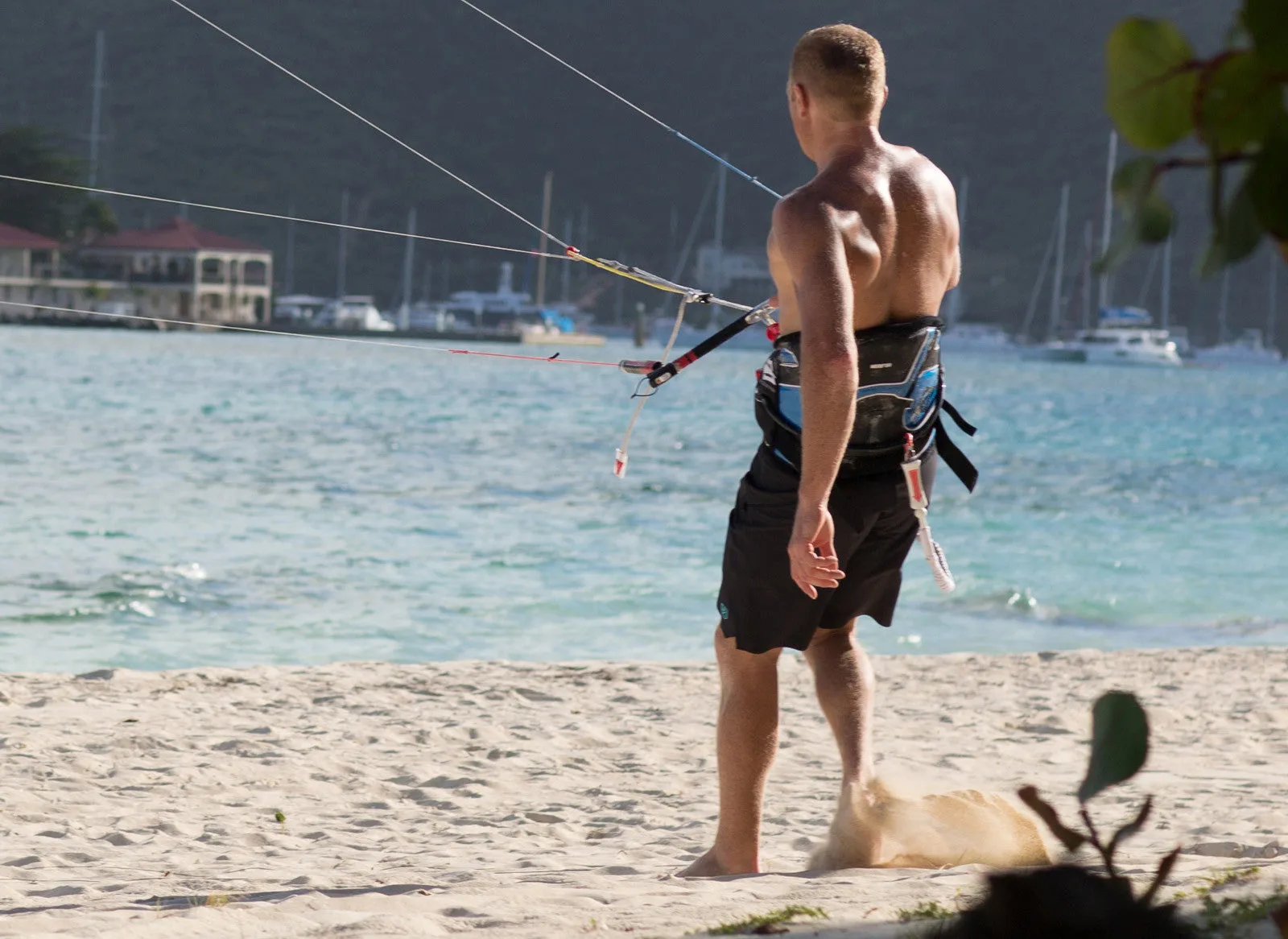 The Spartan Board Shorts -  11" Inseam - Pele Red